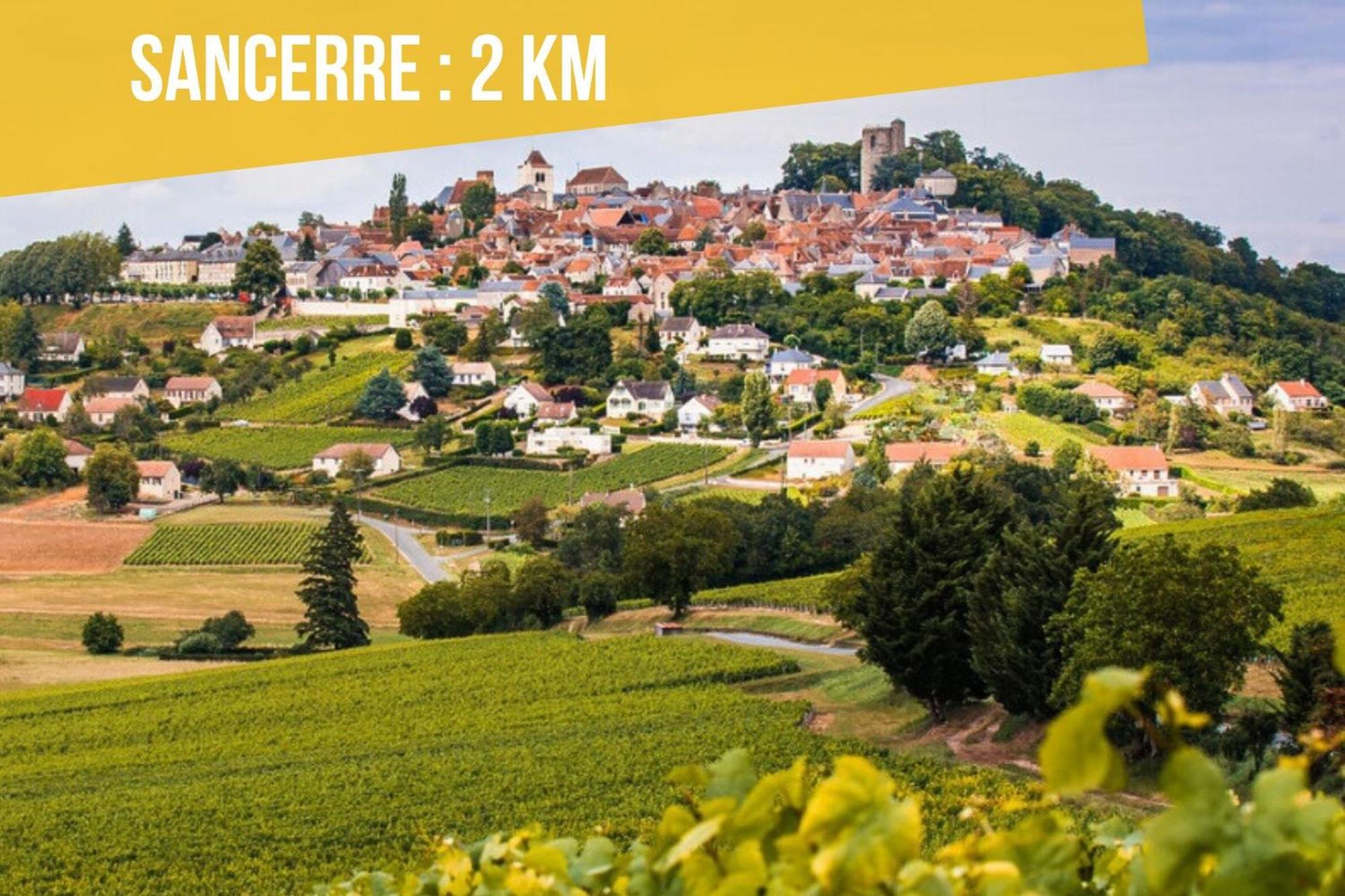 Tout Simplement Golf Menetreol-sous-Sancerre Exterior photo